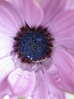 /album/fotogallerij/a2012-07-29-16-41-56-0031-jpg/